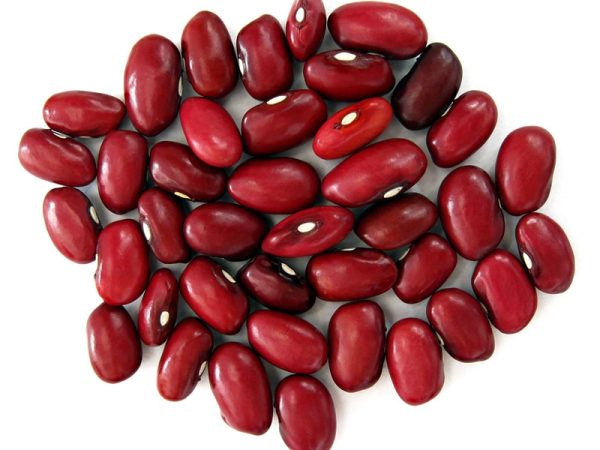 لوبیا قرمز فلـه - کـیلــویـی